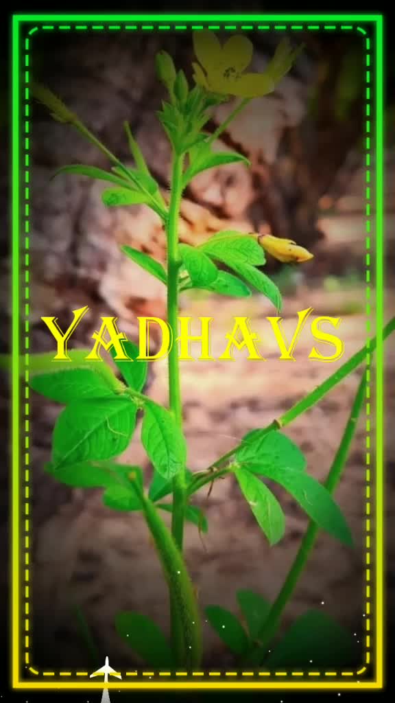 @G.Raju