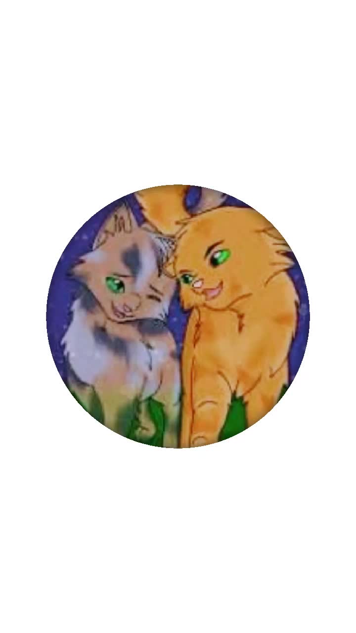 @user4070396009381