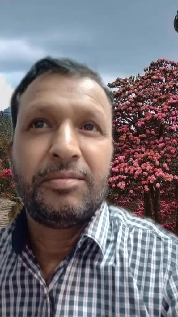 @user9105542090986