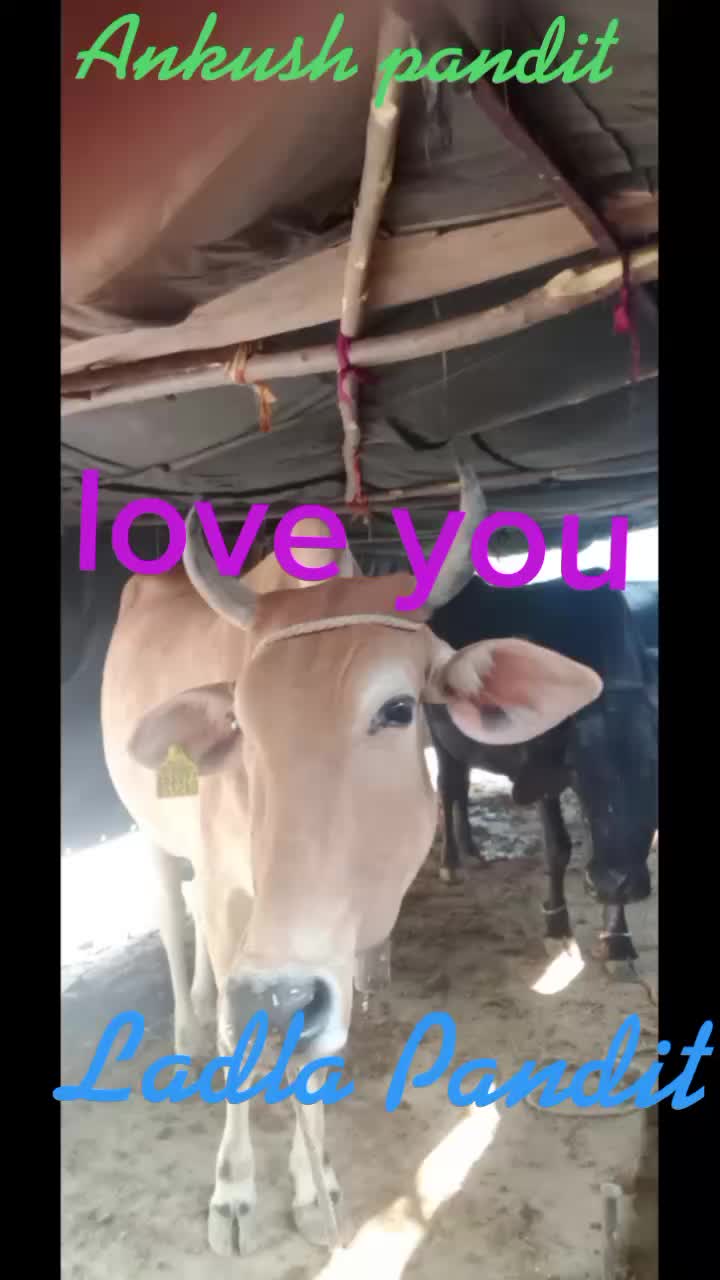 @user5624928321049
