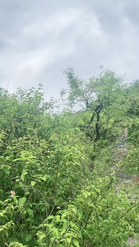 @Mithiiqueen👩&zwj;❤️&zwj;👨