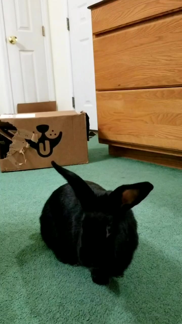 @LuLu