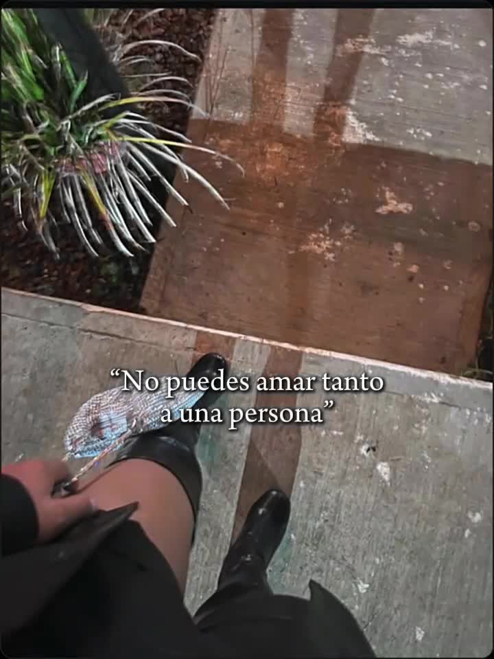 @Alex/a González