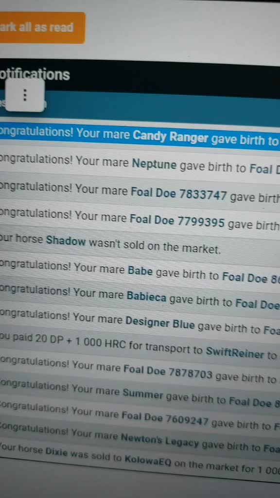 @horse reality
