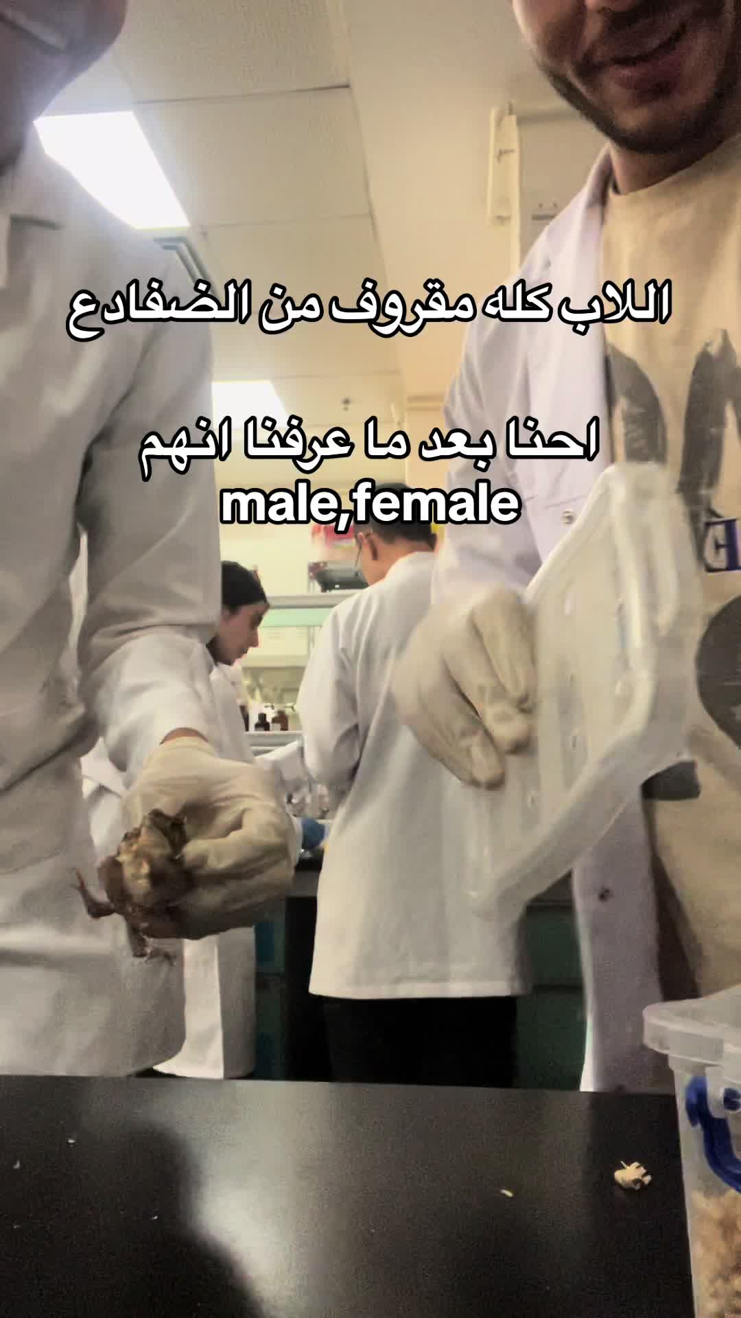 @Mohamed hamada