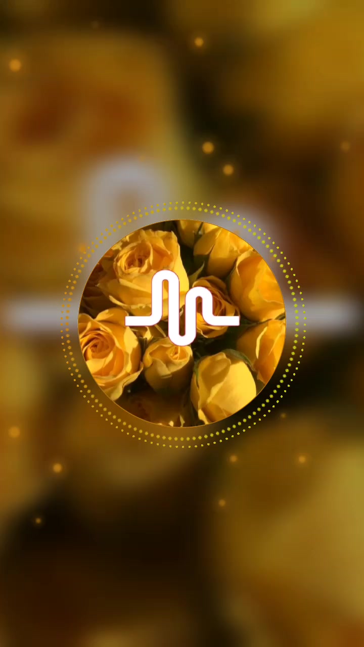 @musically Sounds