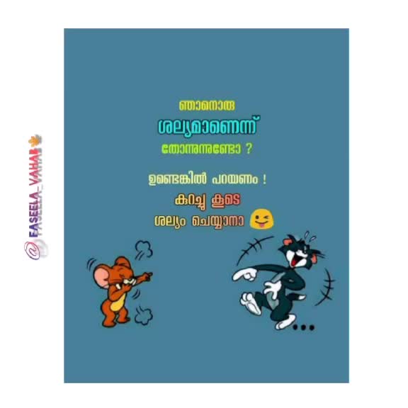 @faseelaavahab
