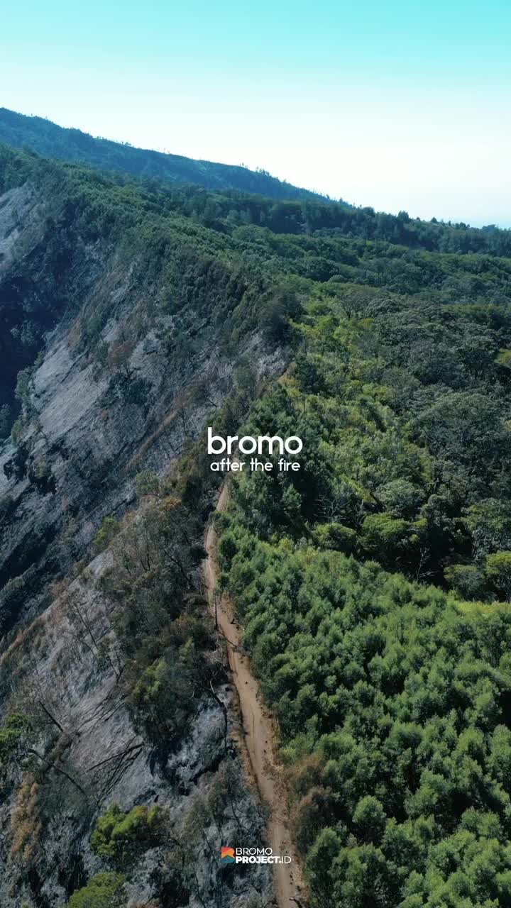 @BROMOPROJECT.ID