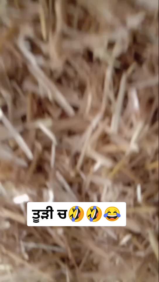 @Sumandeep Singh