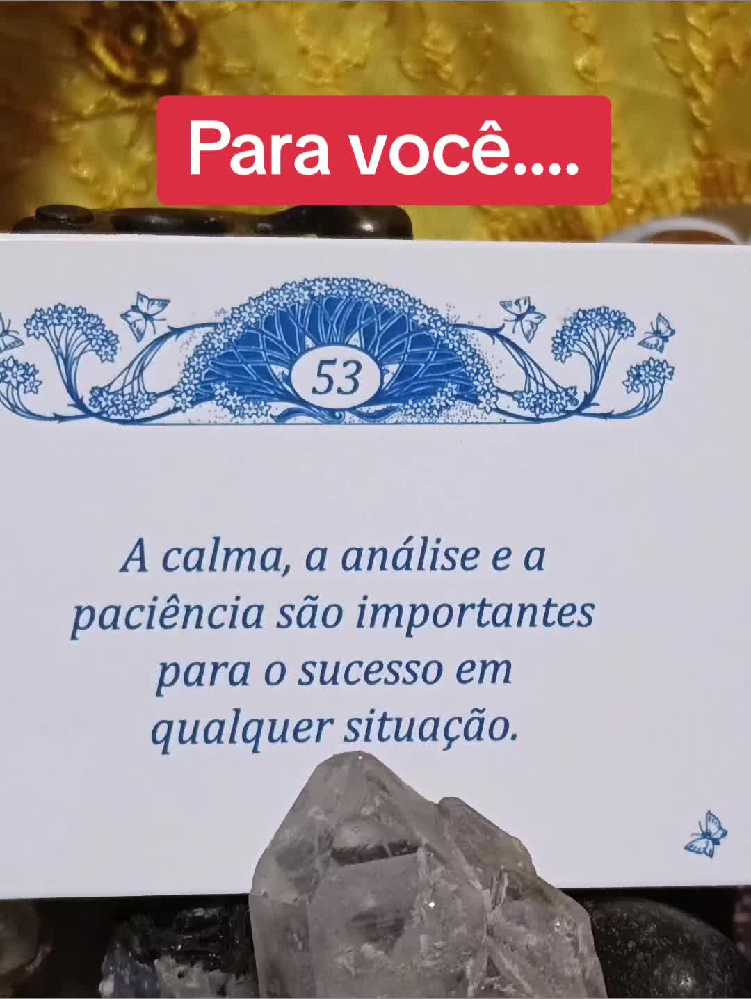 @CoisasdeBruxa479 7 0 1 3 1 6 2