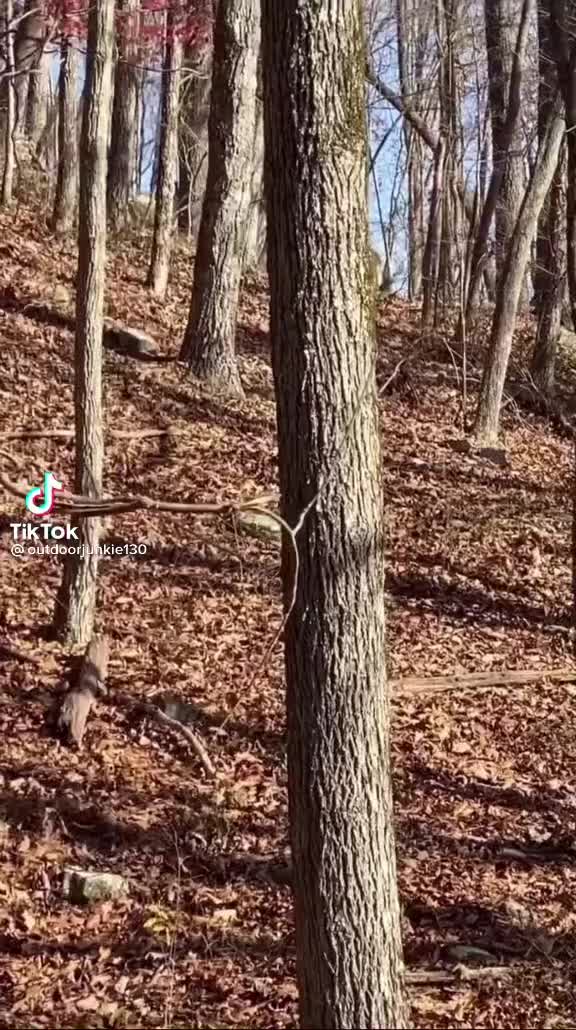 @outdoorjunkie13