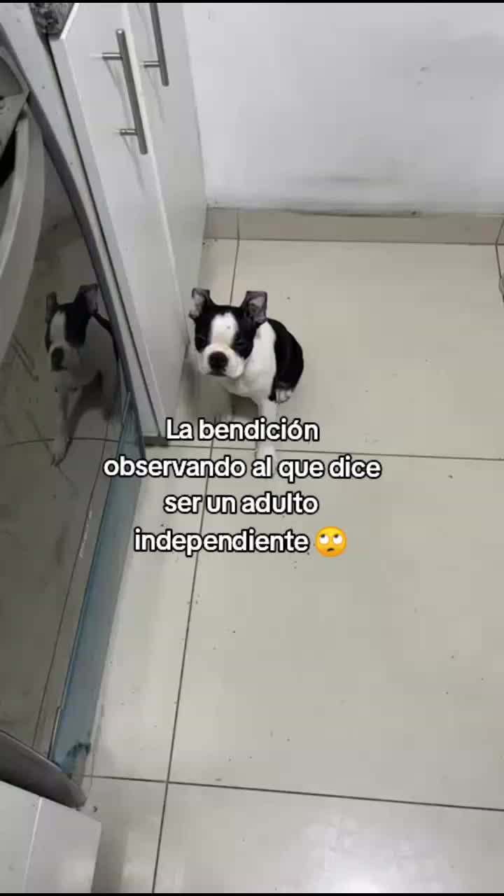 @Liliana Martínez