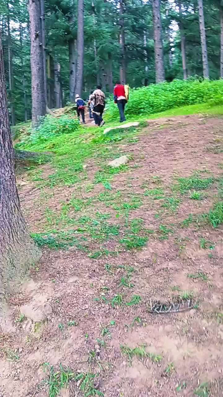 @kabirajrijal5