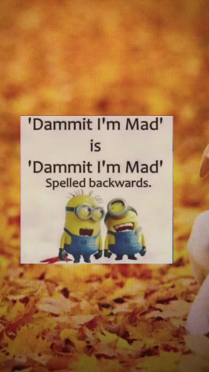 @painhub5333