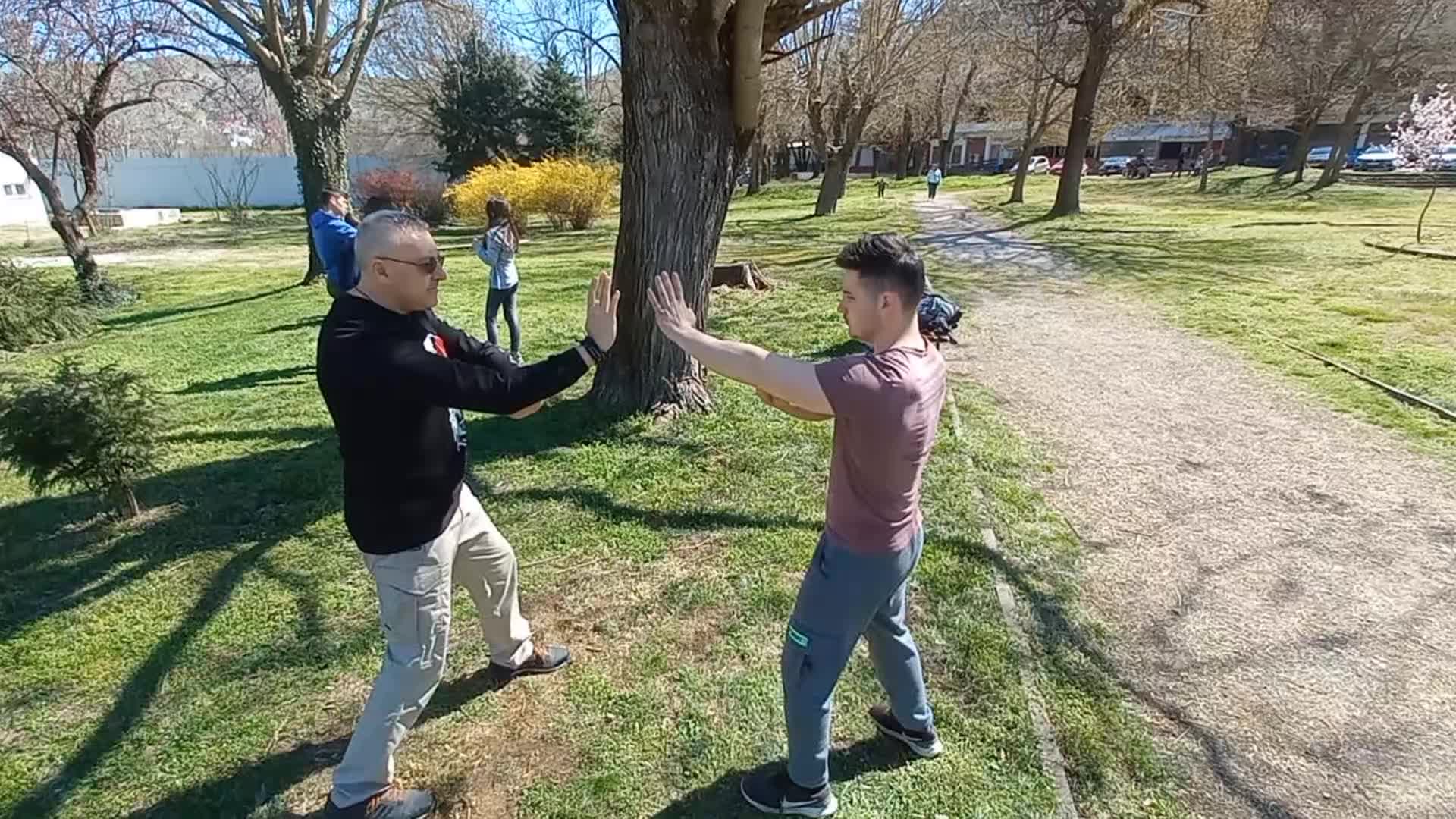 @LakiStrikerwingchun