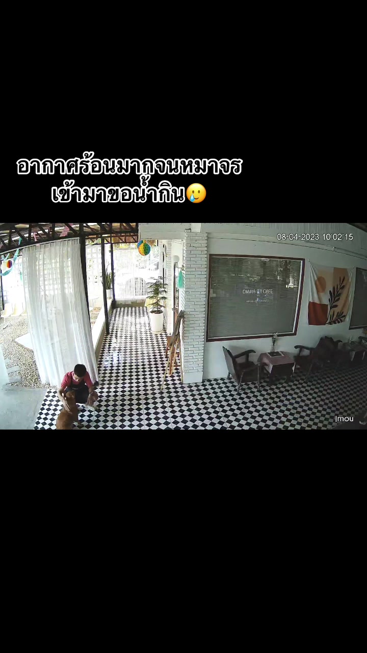 @คุณพีที่หาเงินเลี้ยงนกツ