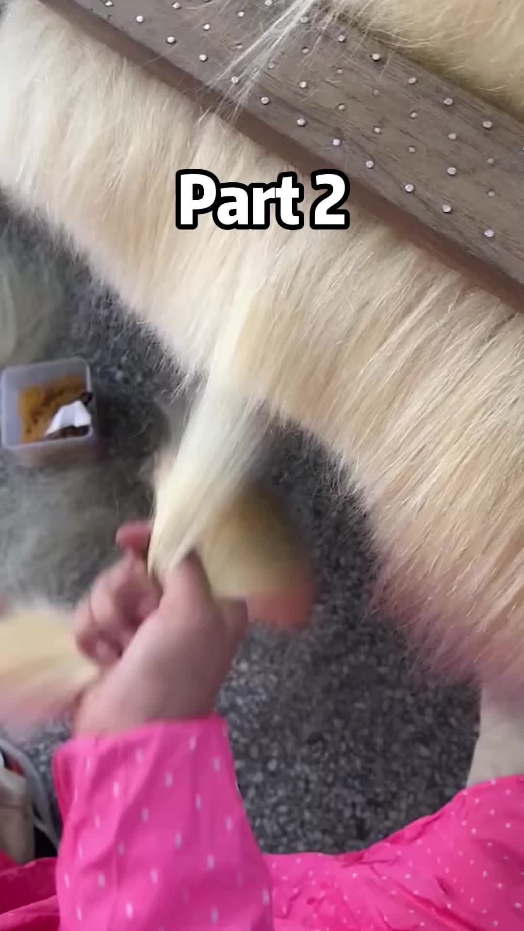 @Reddit sharer