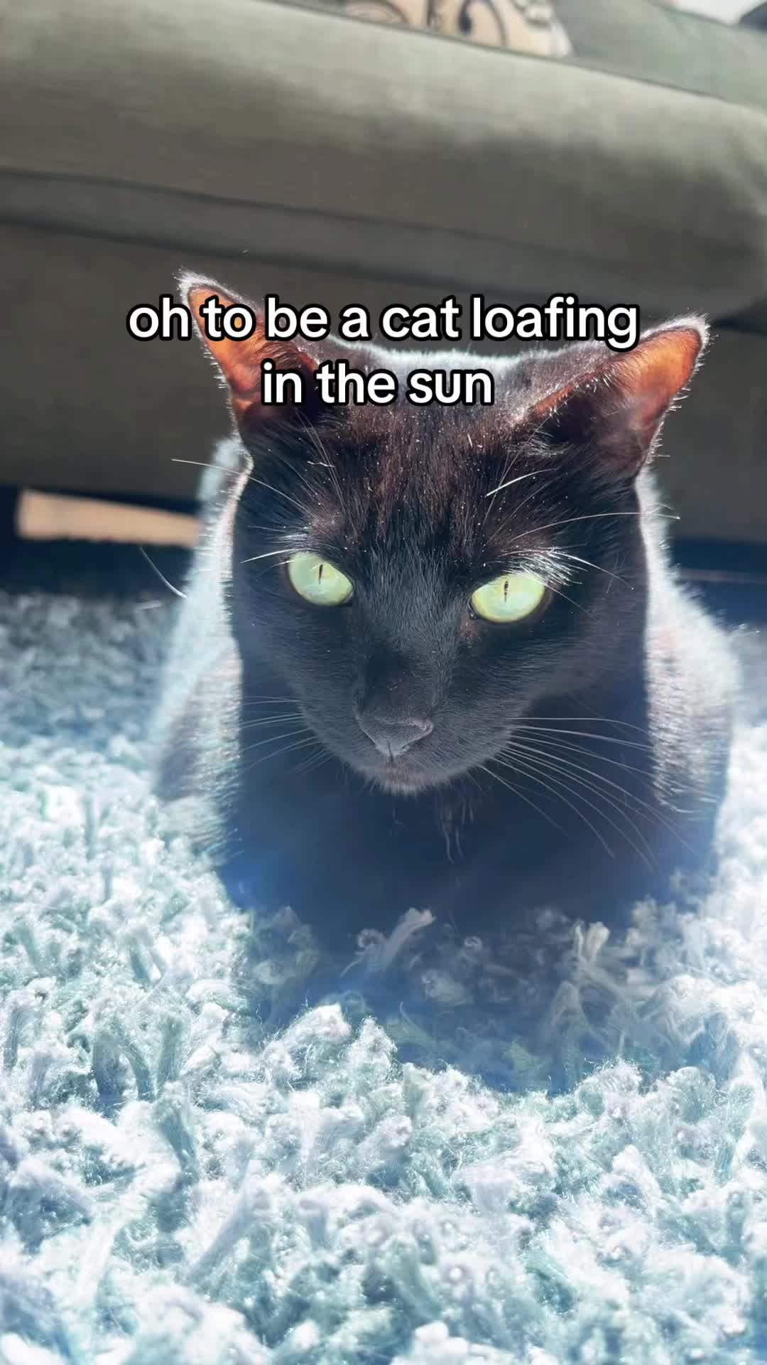 @KittenMitten