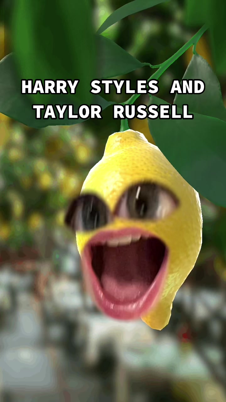 @talkinglemonrry