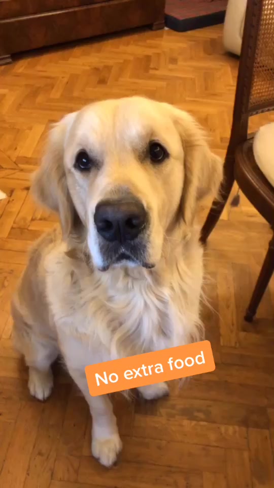 @Leo_nrl_golden