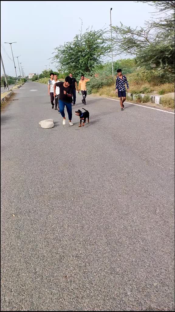 @Ravi07