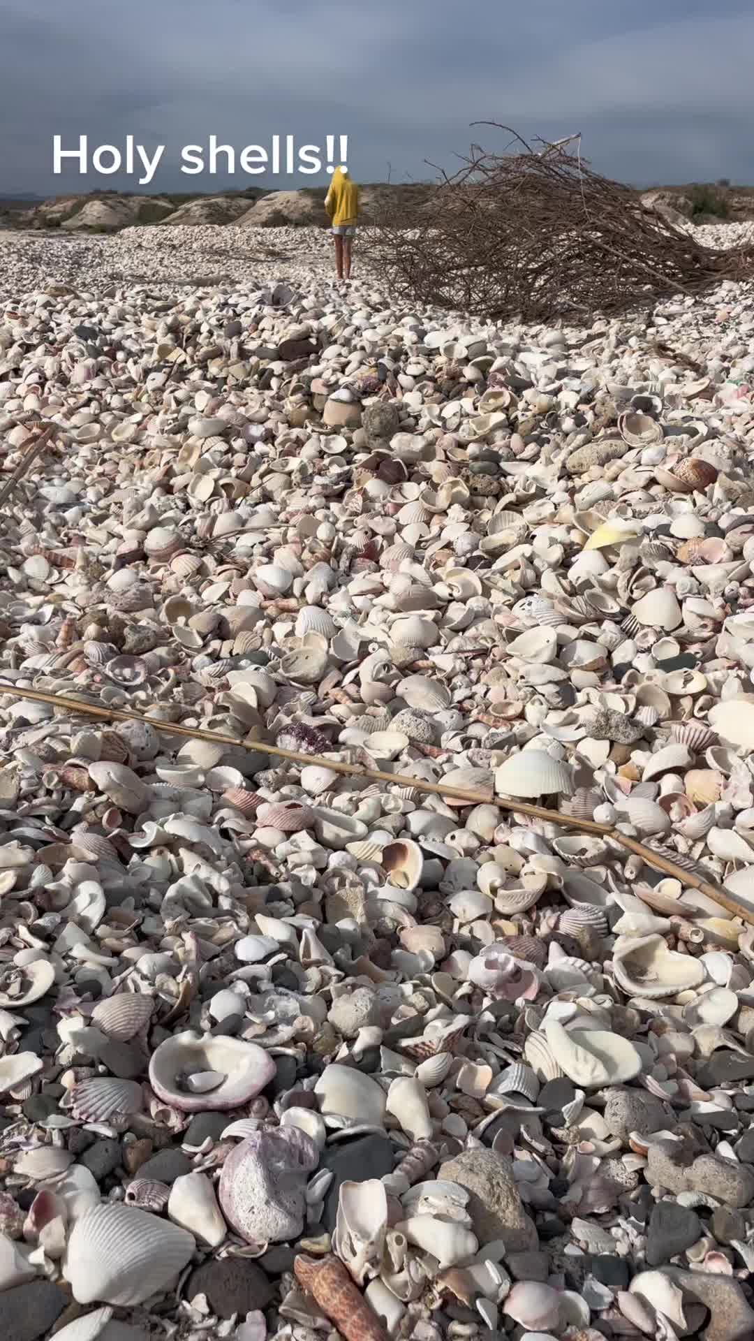@karbear808