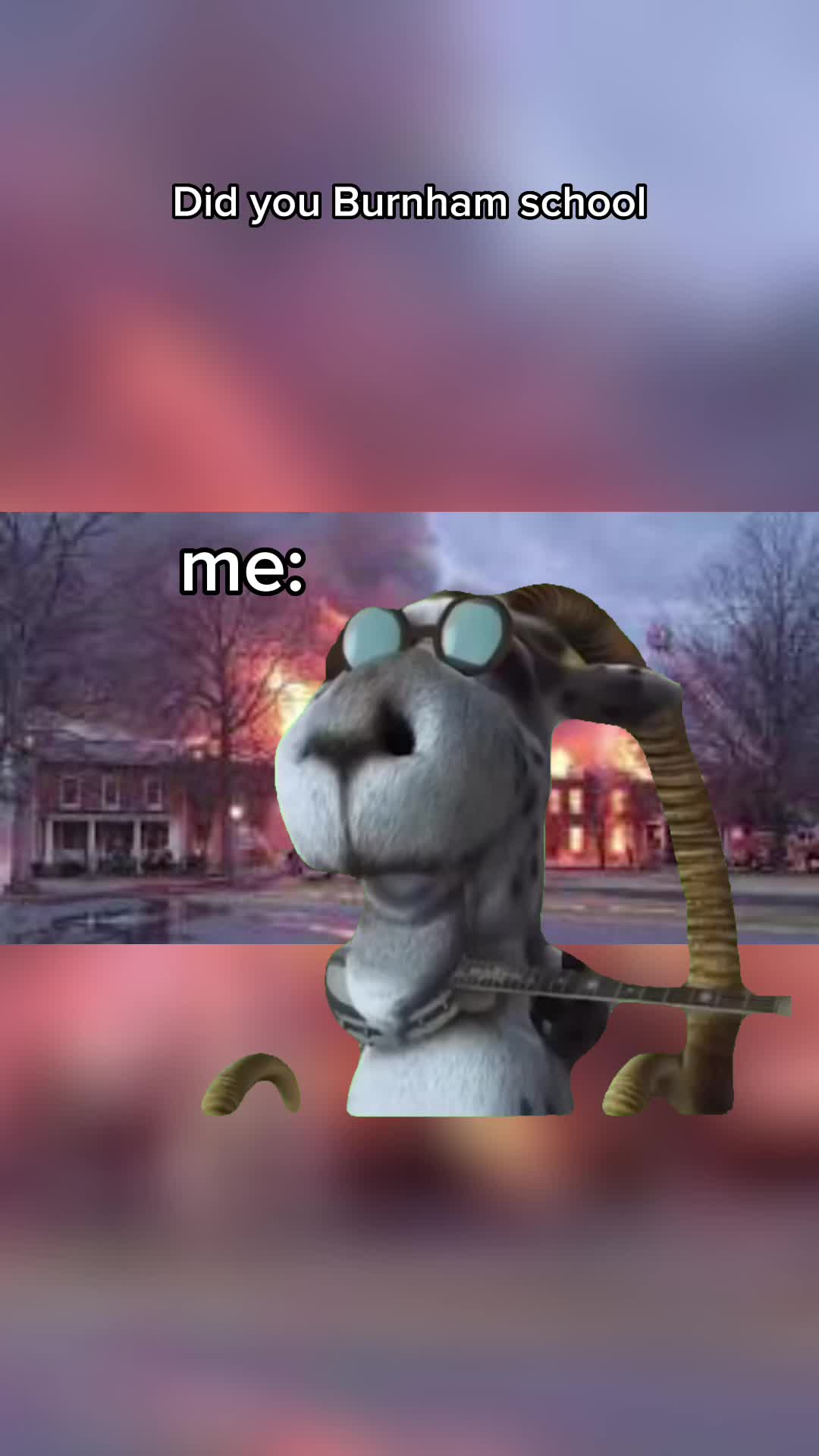 @alexabrazelton