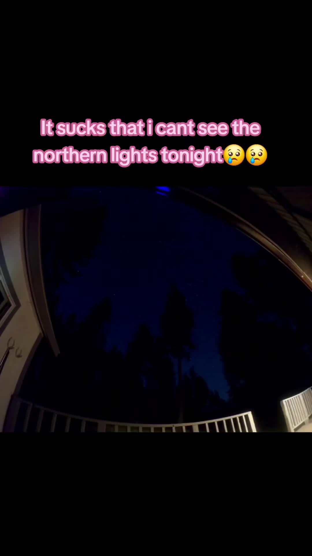 @ToxicStormKitty