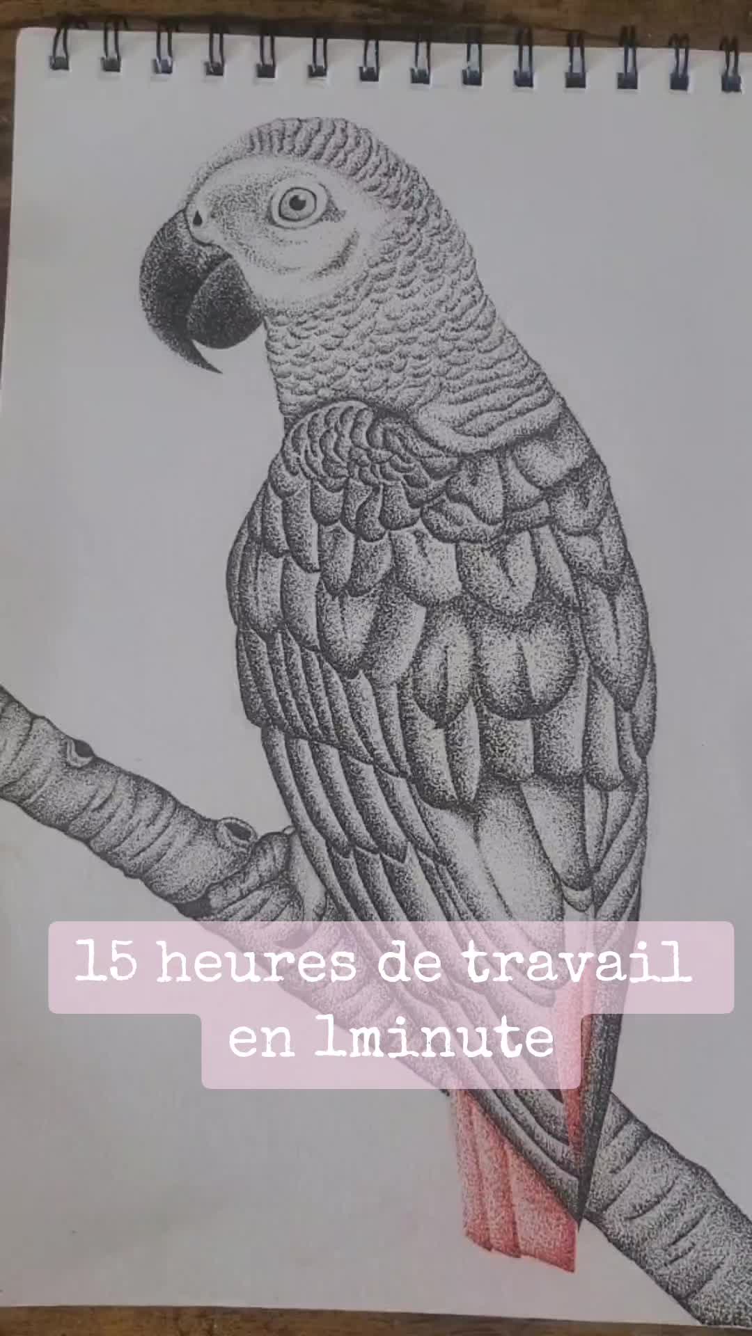 @ManonRc_draw