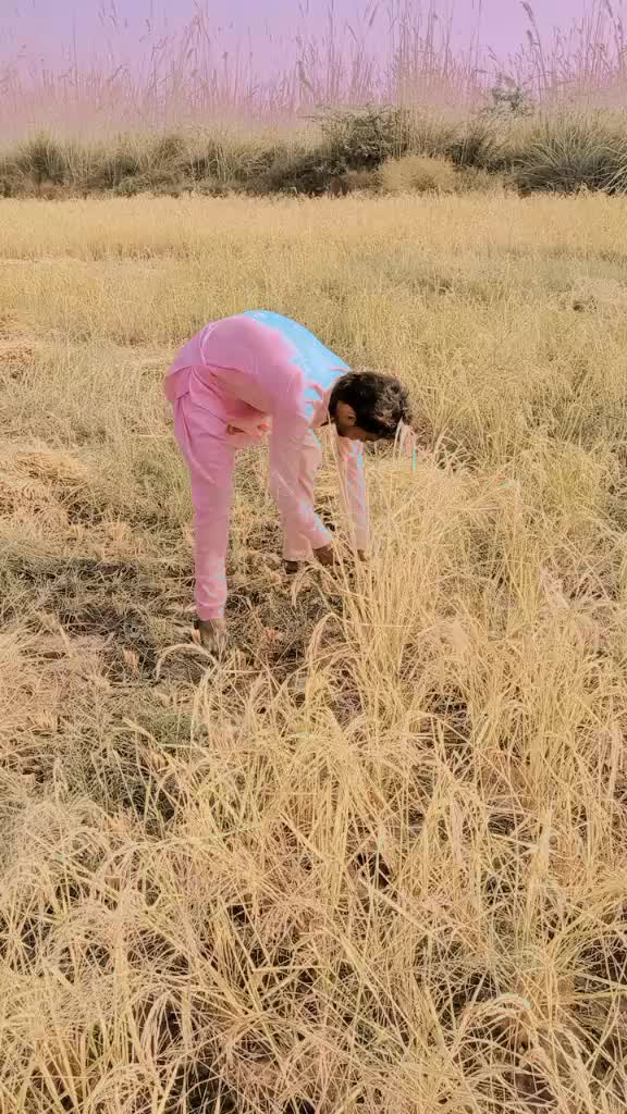 @ilyassajid6