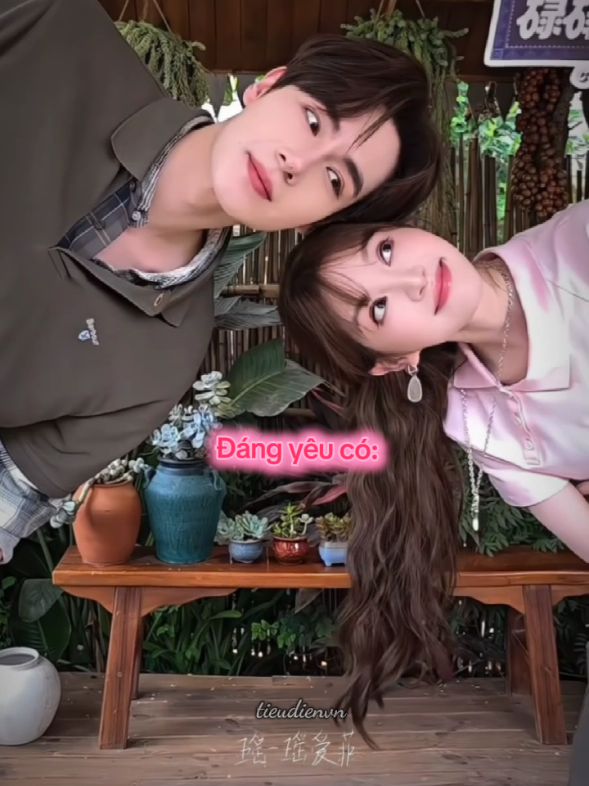 @Vitamin Điền Hi Vi