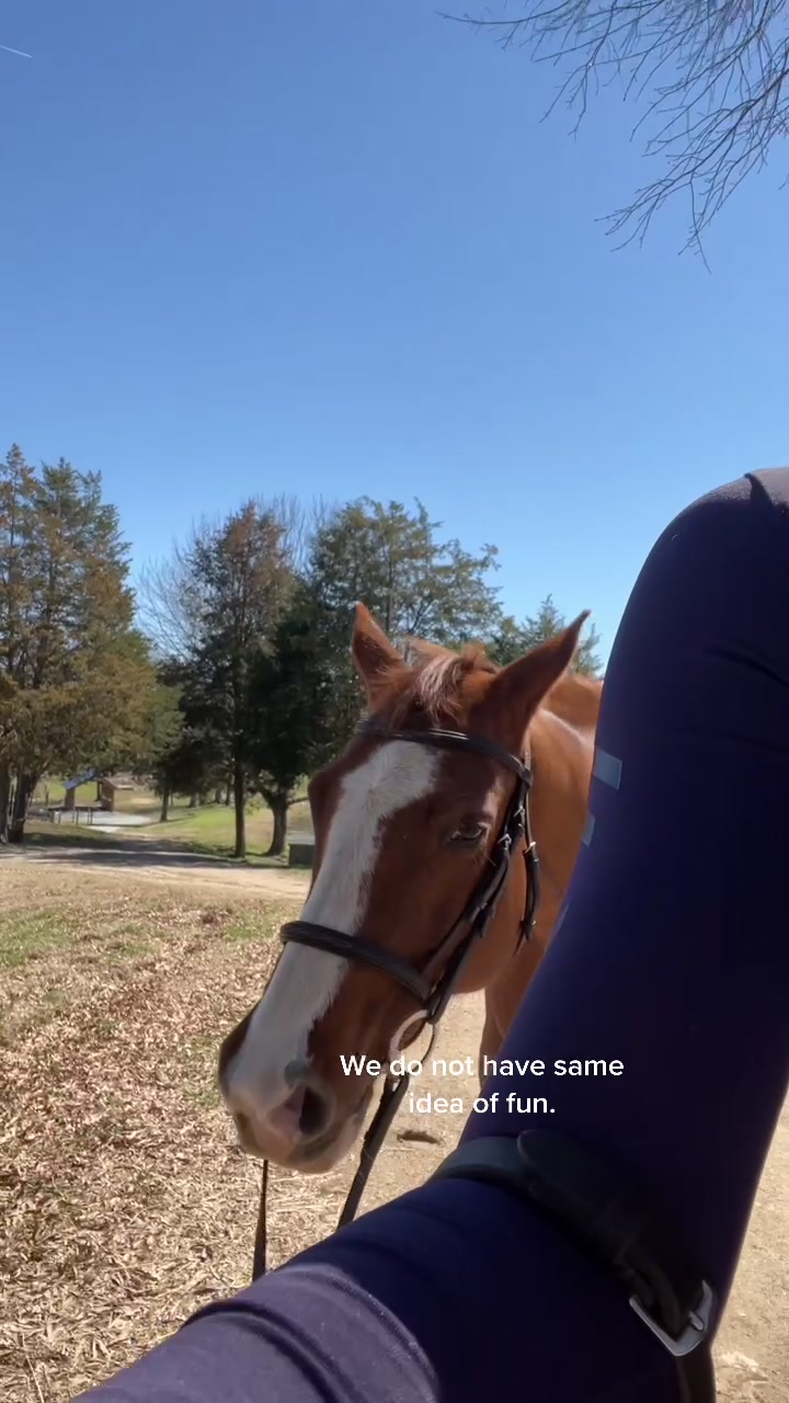 @Chunky Pony