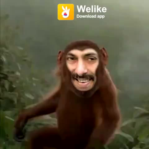 @yashsaraf58