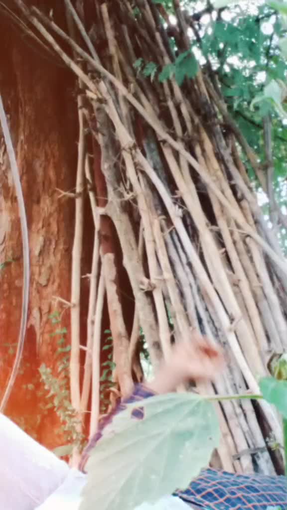 @Prabhu Prabhu