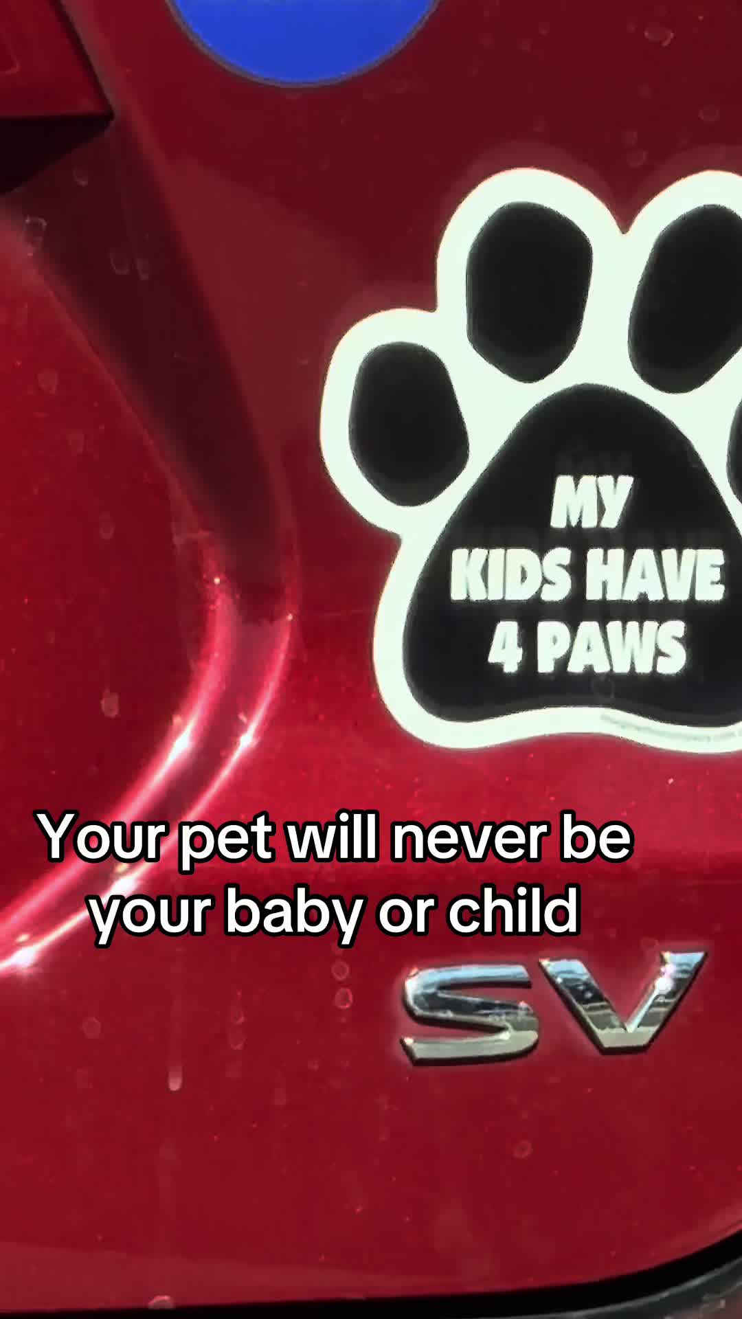 @Dogs aren&rsquo;t Family