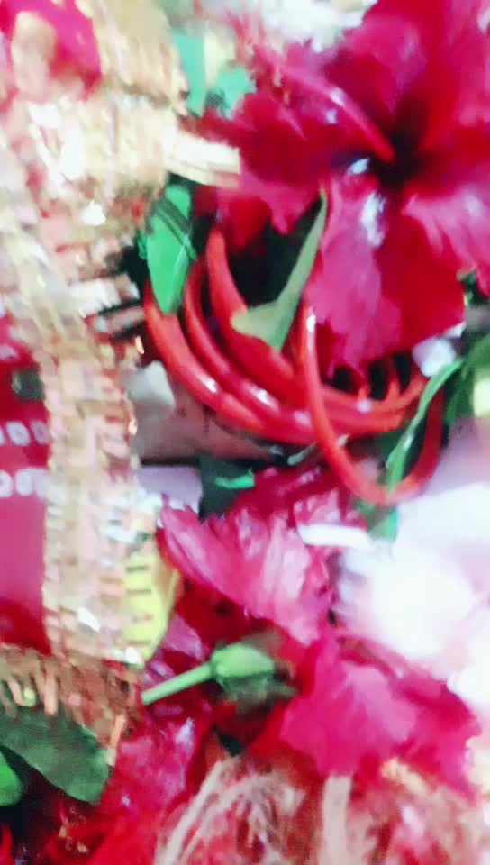 @cuty ankita