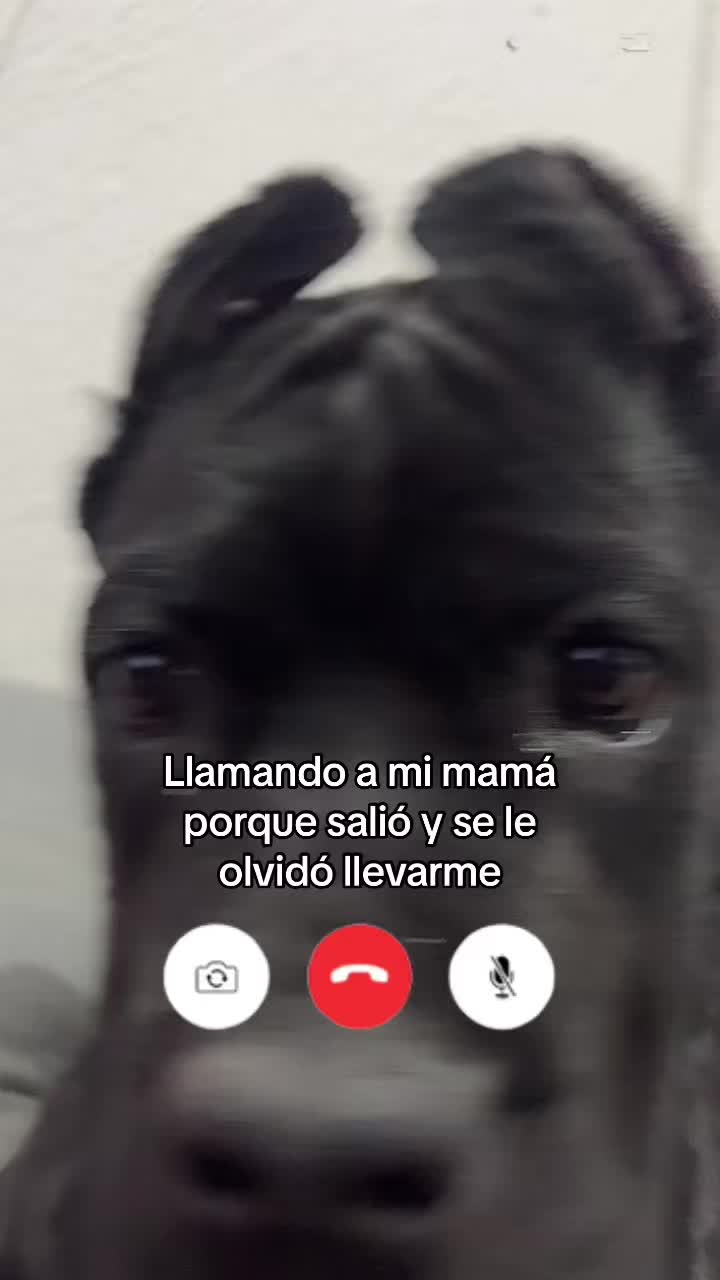 @Jess Butrón
