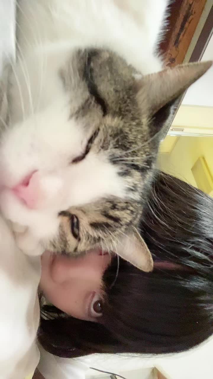 @日永麗