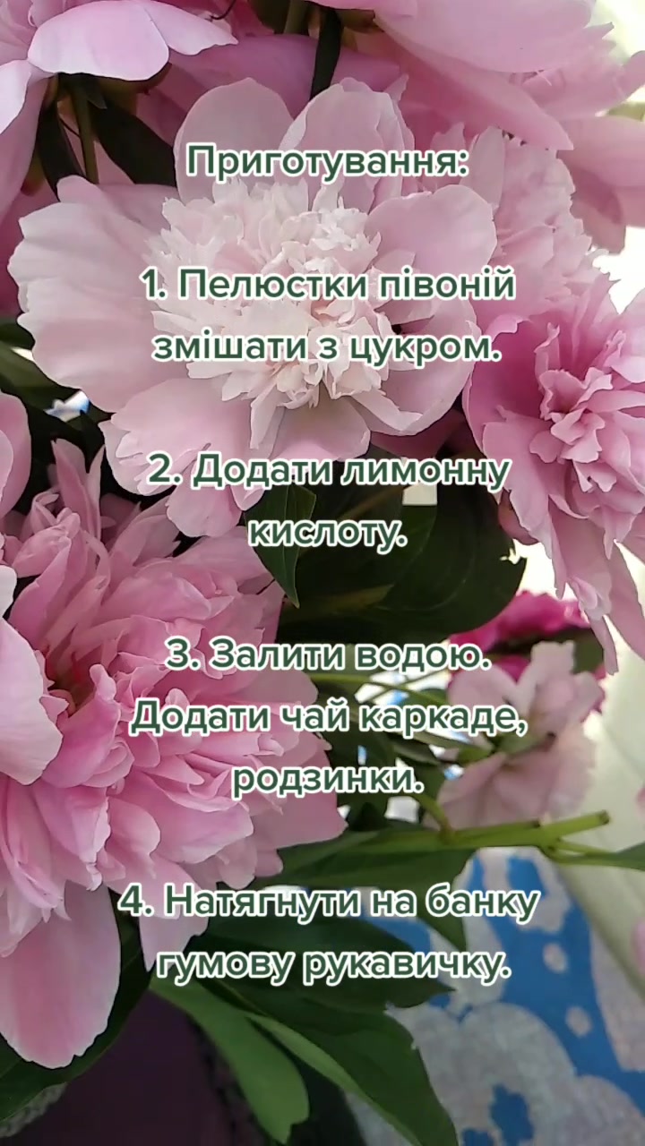 @☀️Сей Хей☀️