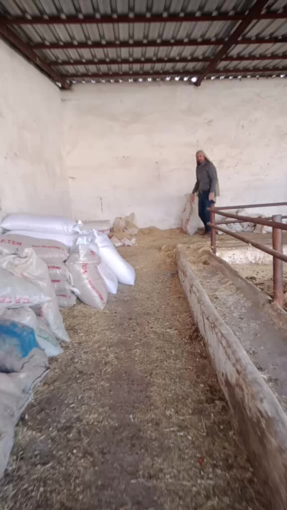 @şahin Akdoğan