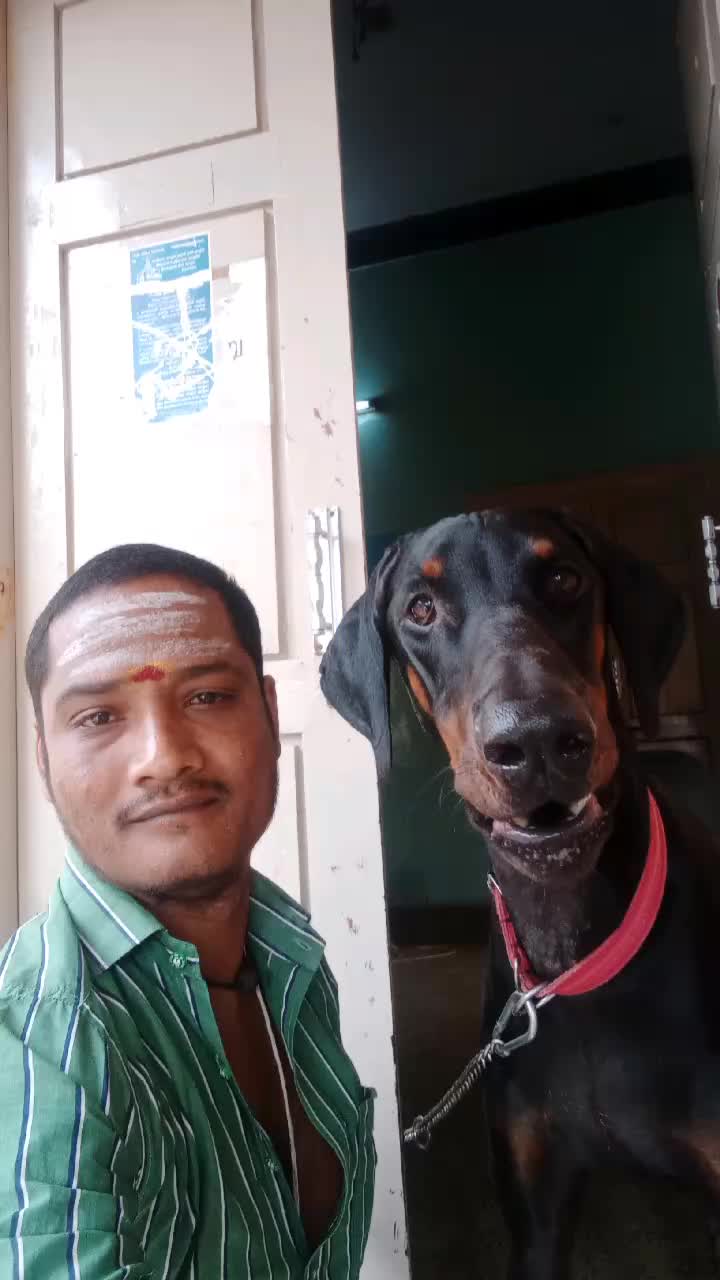 @bala Prassanna
