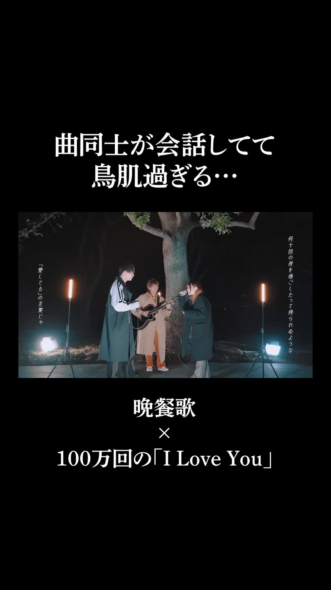 @WHITEBOX【official】
