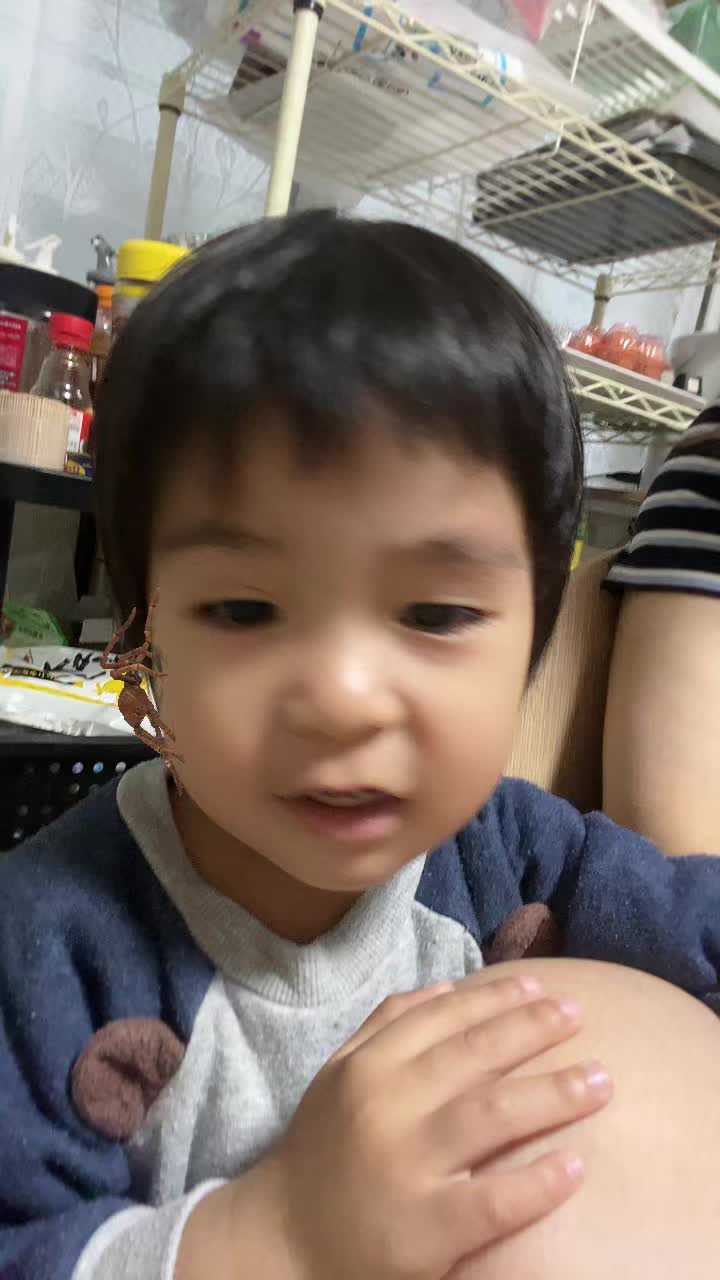 @トウバンゴ アリザ