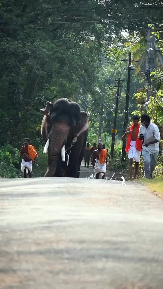 @Dileep nair