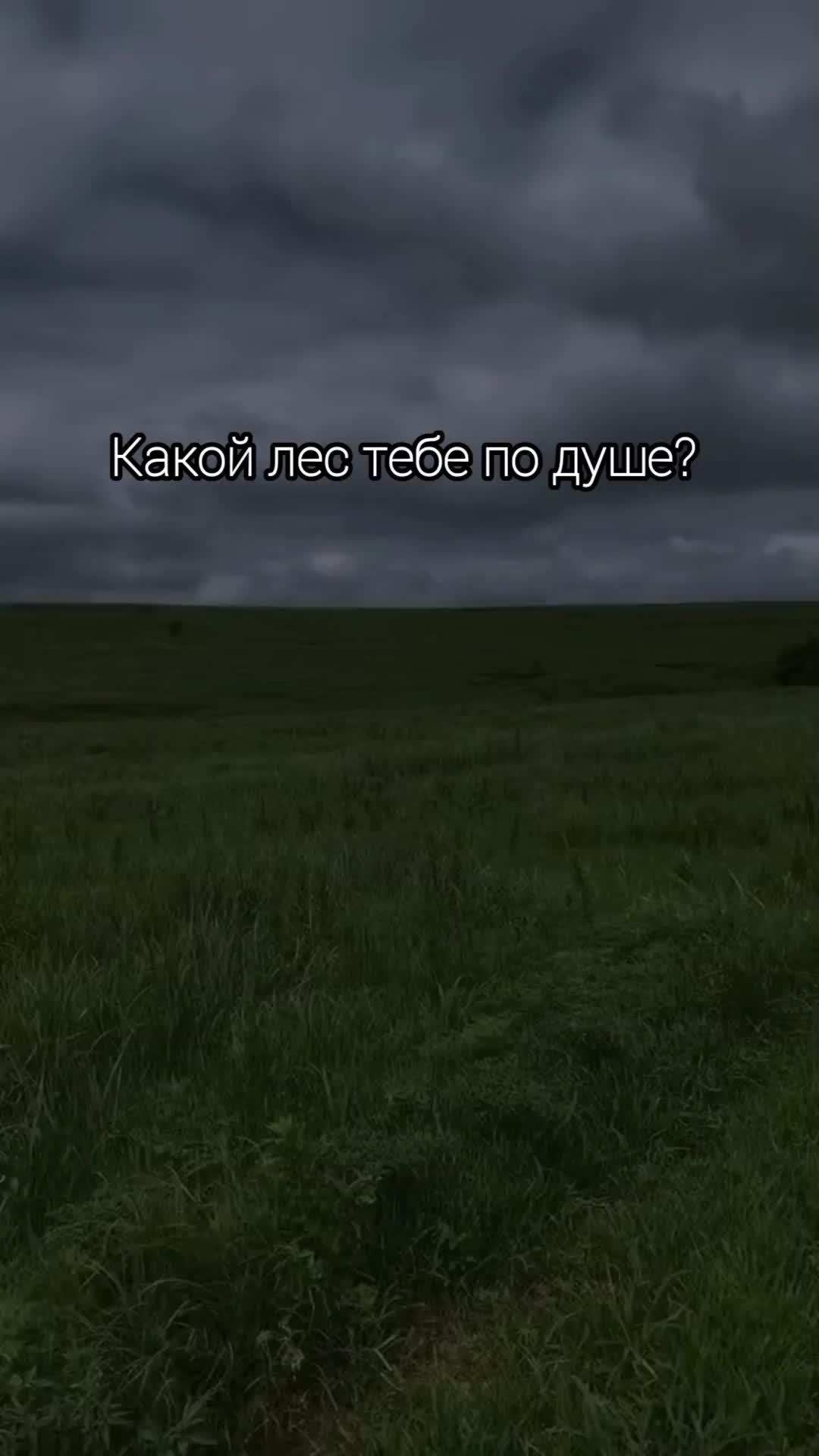 @v.visn@🤍