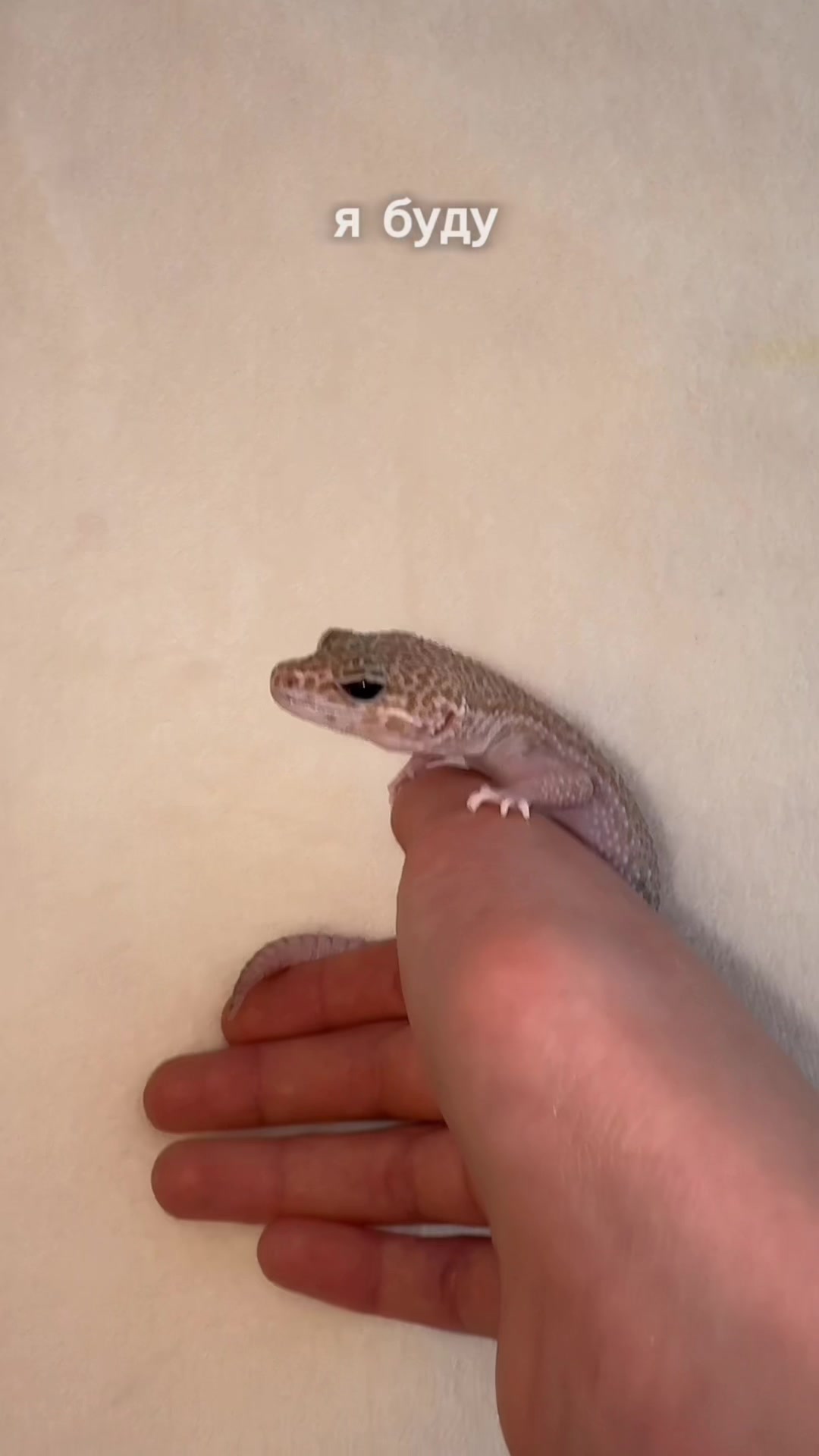 @_.v_snail_v._