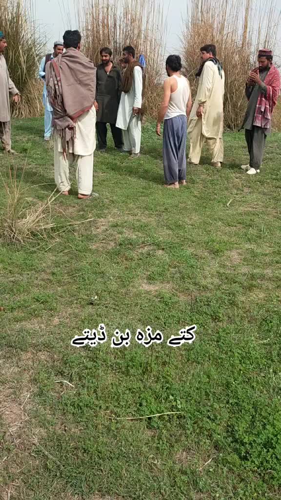 @Ameer hassan Khan niazi