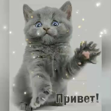 @Стас Захаров