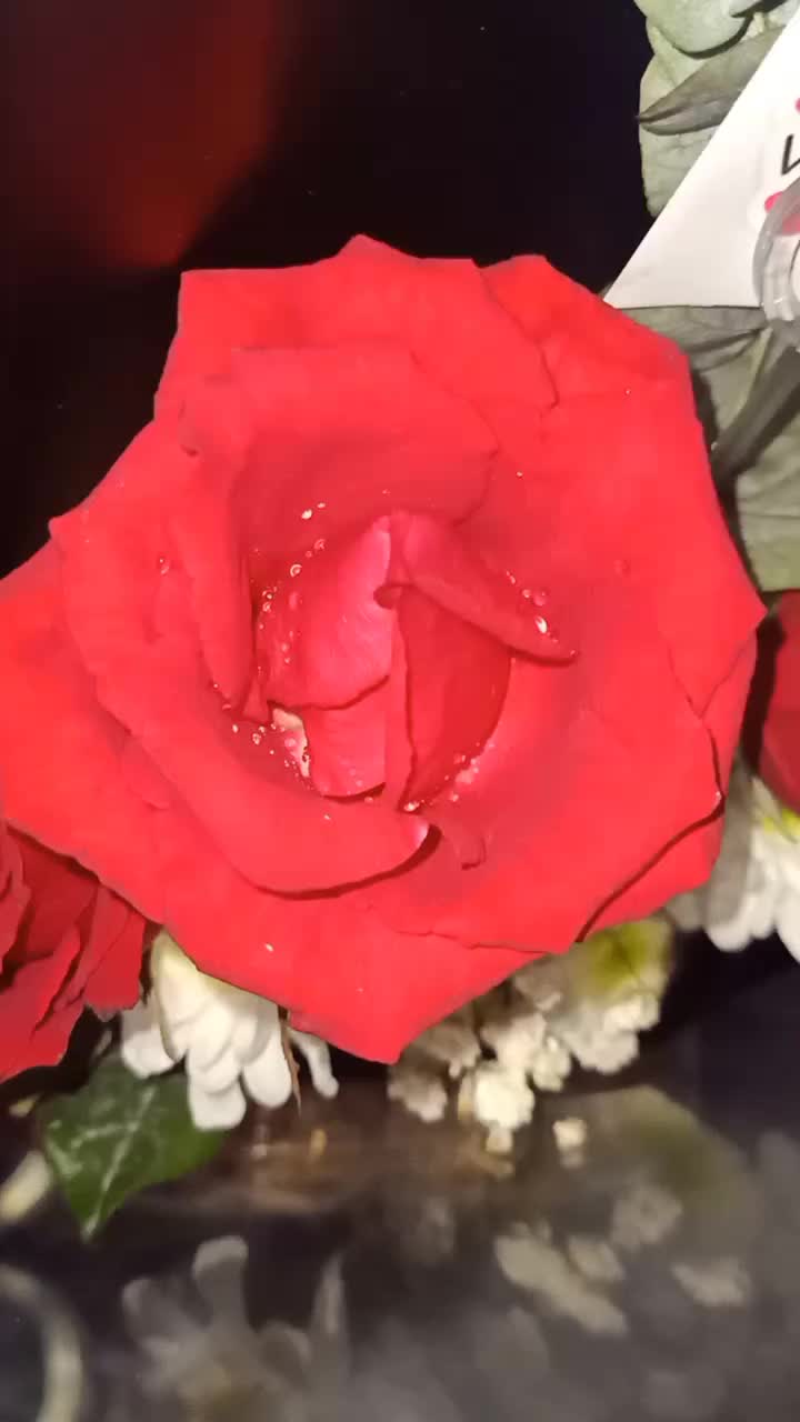 @M.M
