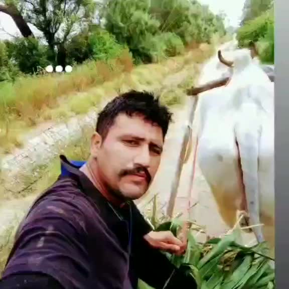 @harvinder panghal